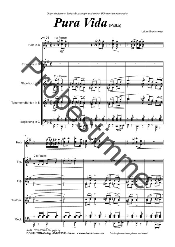 probestimme_pura-vida-direktion