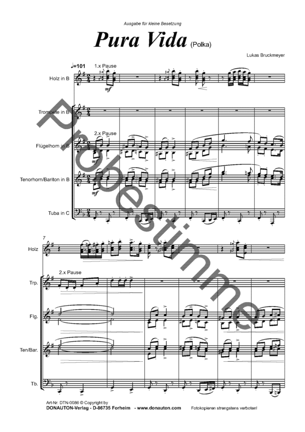 probestimme_pura-vida-direktion-kleine-besetzung_seite_01
