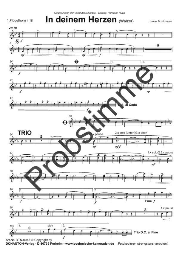 probestimmen-deinem-herzen-stimmensatz_seite_1