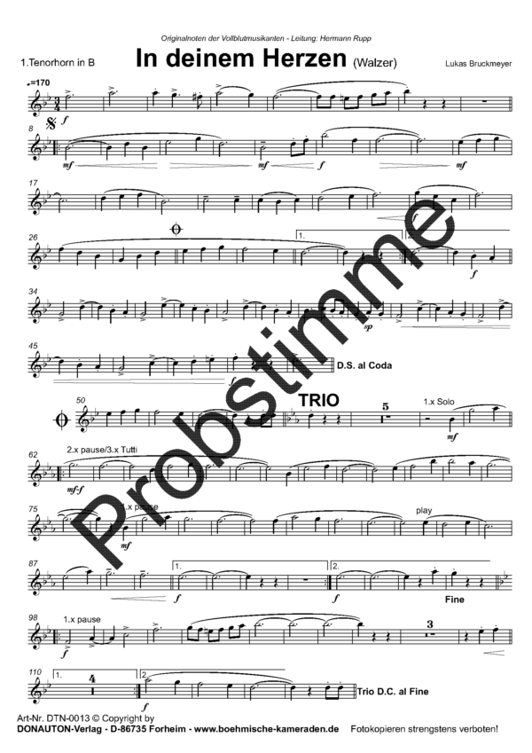 probestimmen-deinem-herzen-stimmensatz_seite_2